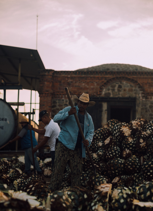 From Farm to Glass